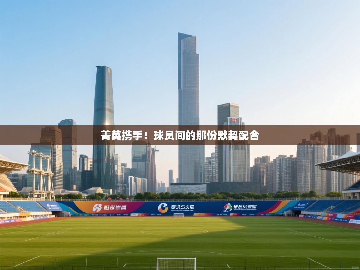 菁英携手！球员间的那份默契配合  第2张